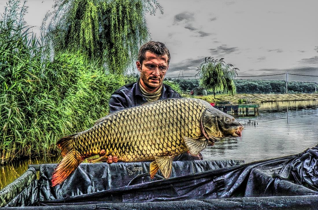 Cupa Verii MV2-RB Baits (3)- 2013 - 1016587hdrmode2.jpg